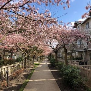 Meet your Posher, Raymond ng